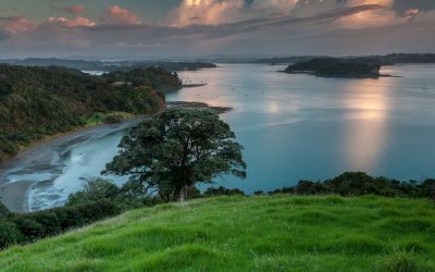 Home in Mahurangi West